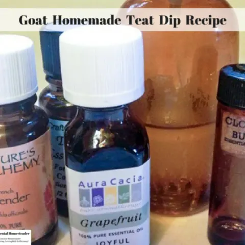 Essential oils and the finished homemade goat teat dip spray.