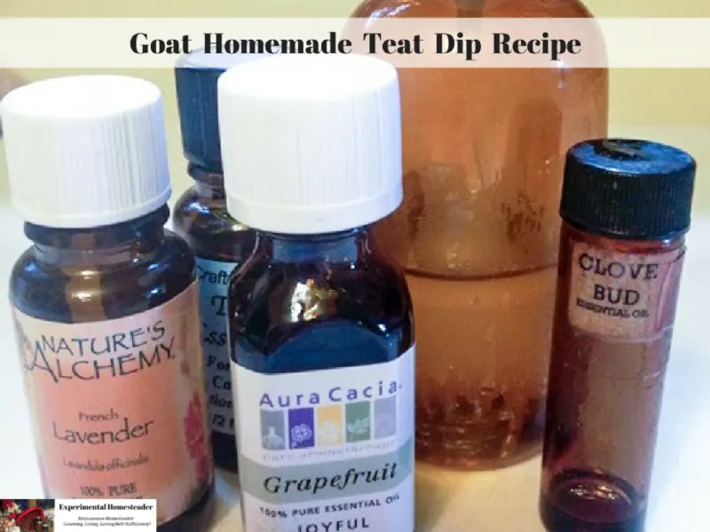 Essential oils and the finished homemade goat teat dip spray.