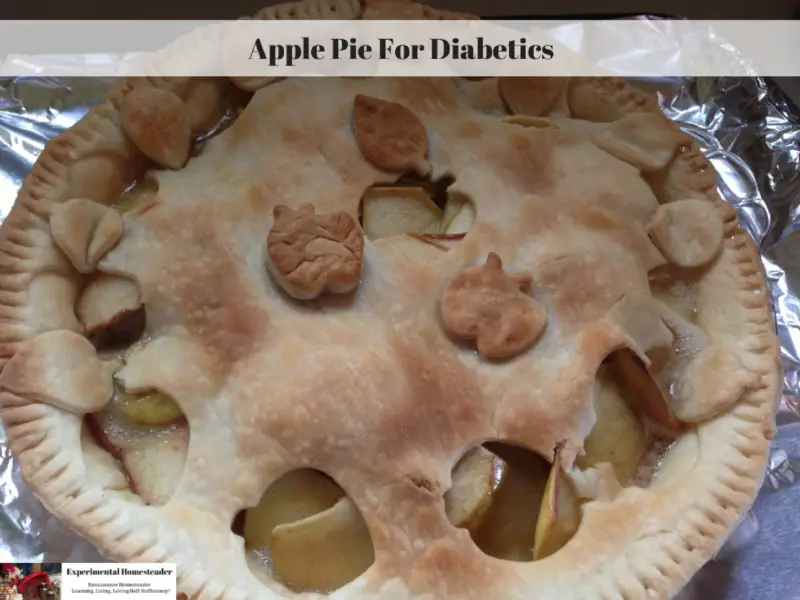 apple-pie-for-diabetics-experimental-homesteader