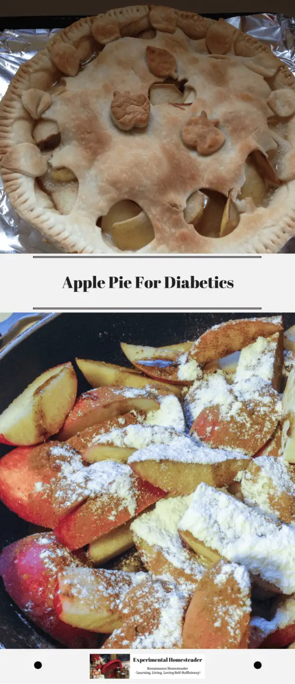 Apple Pie For Diabetics Experimental Homesteader