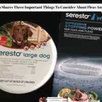 Seresto Shares Three Important Things To Consider About Fleas And Ticks