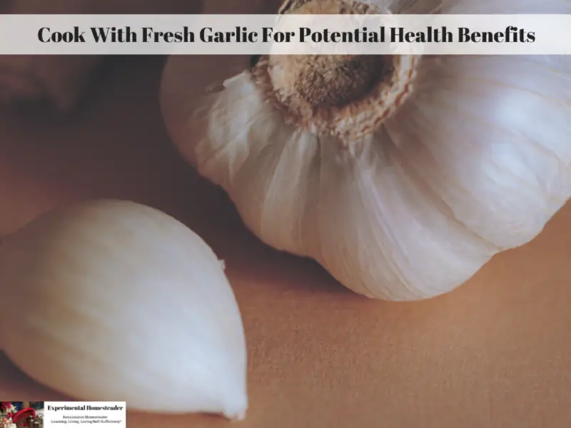 Garlic laying on a counter.