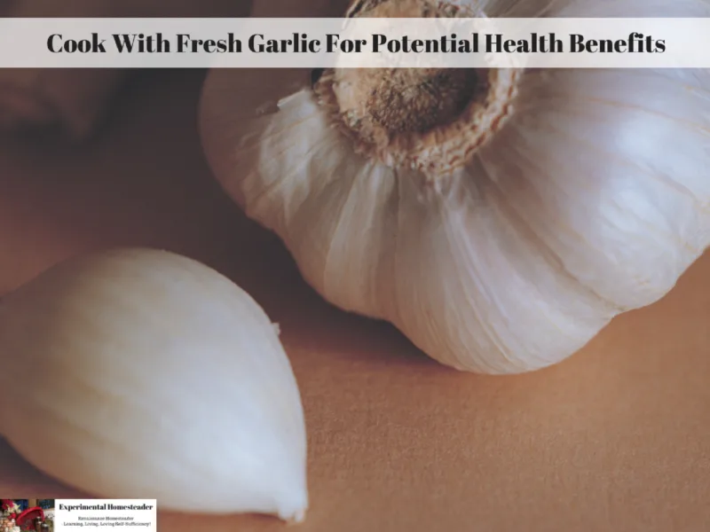 Garlic laying on a counter.