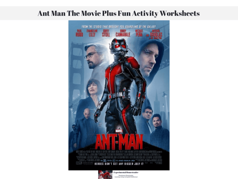 Ant-Man movie poster featuring superhero in red and black suit with supporting characters, from Marvel's Ant-Man film.