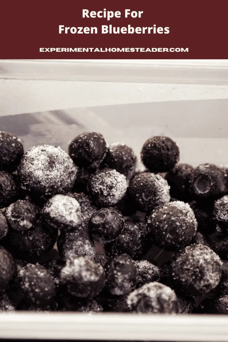 Recipe For Frozen Blueberries - Experimental Homesteader