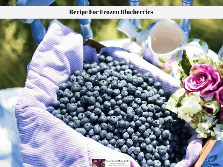 Fresh frozen blueberries in a cloth basket for homemade blueberry recipes.