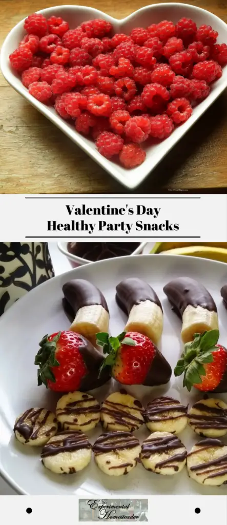Valentines Day Healthy Party Snacks Experimental Homesteader 0399