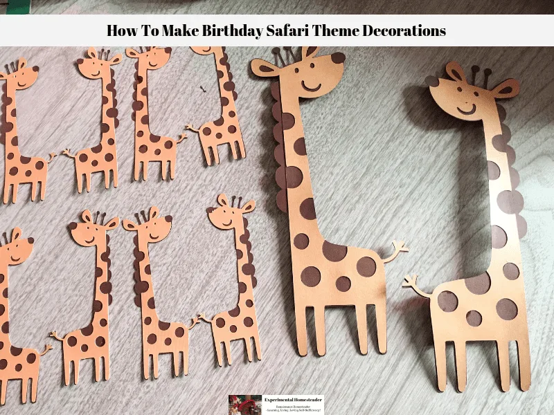 The birthday safari theme giraffes.