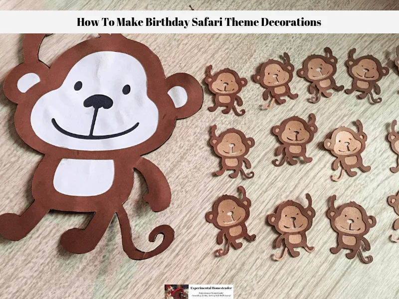 The birthday safari theme monkeys.