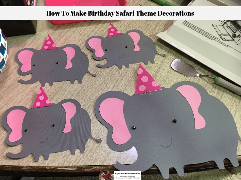 The birthday safari theme elephants.