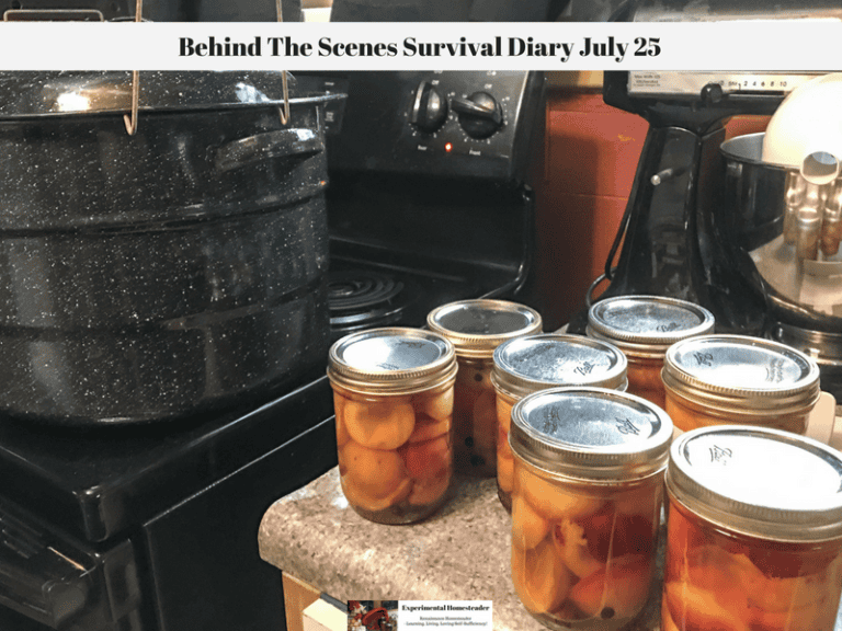 Canning jars with peaches on a kitchen counter, behind a canning kettle and kitchen appliances.