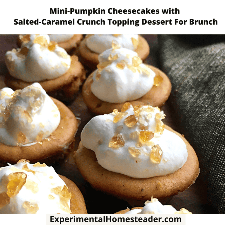 Mini pumpkin cheesecakes with salted caramel topping for brunch, tasty fall dessert recipe.