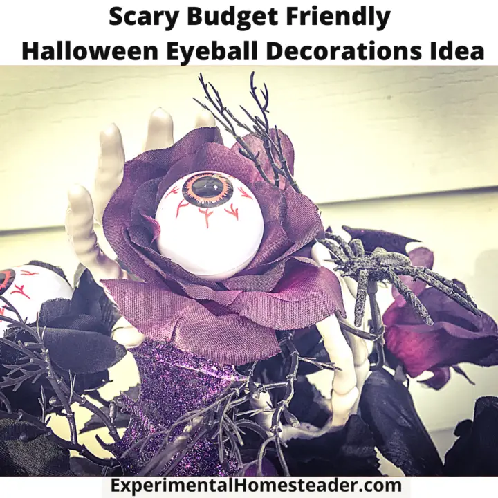Scary Budget Friendly Halloween Eyeball Decorations Idea