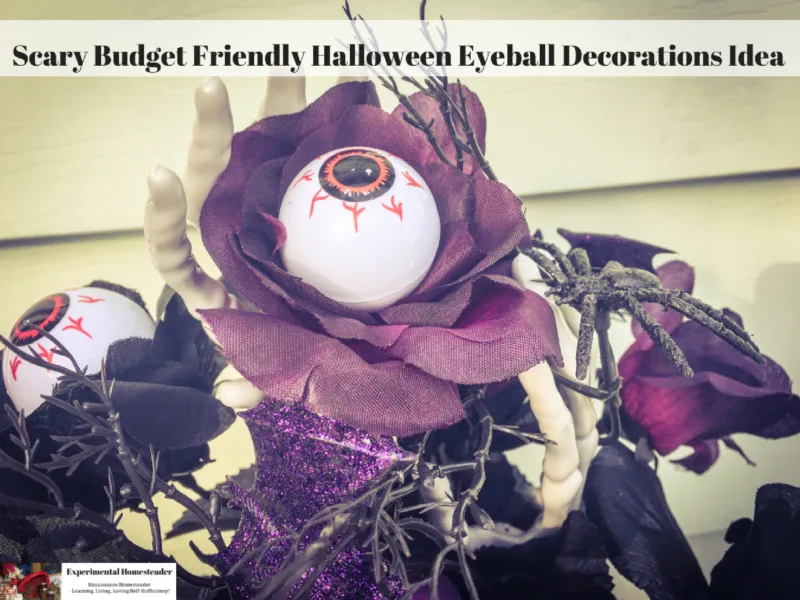 Last Minute Halloween Ideas: Eyeball Crafts and Recipes - Uncommon Designs