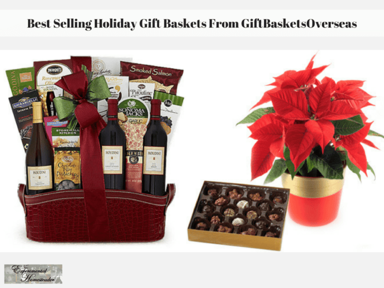 Holiday gift basket with wine, chocolates, and poinsettia for Christmas gifting.