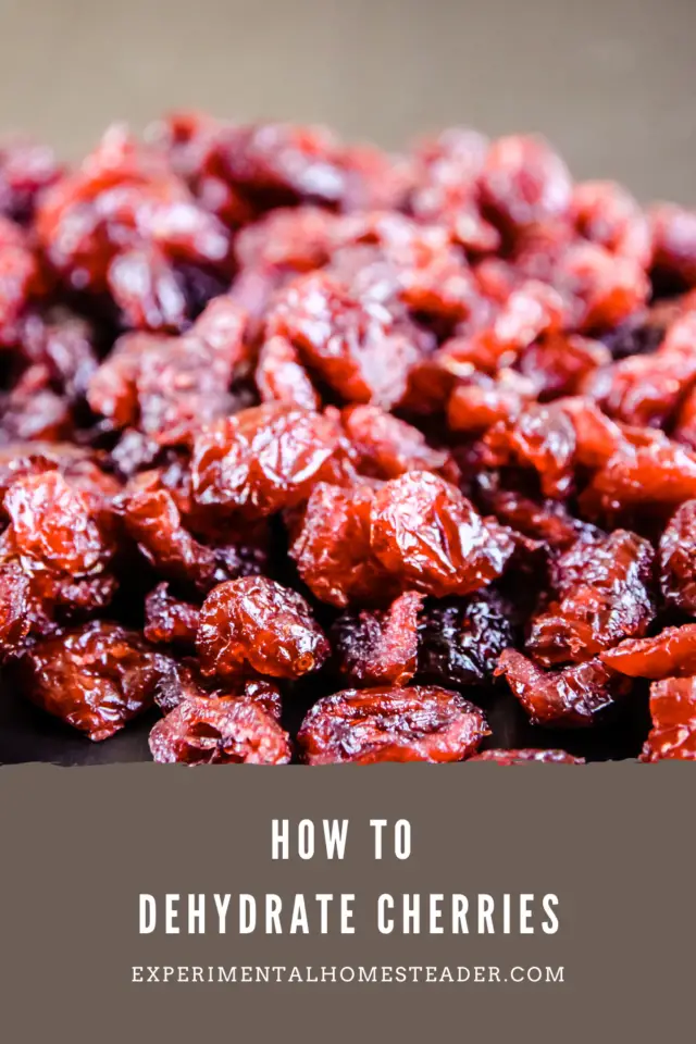 How To Dehydrate Cherries Experimental Homesteader