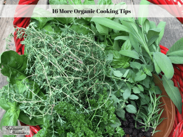 Fresh organic herbs and greens for sustainable home cooking and gardening.