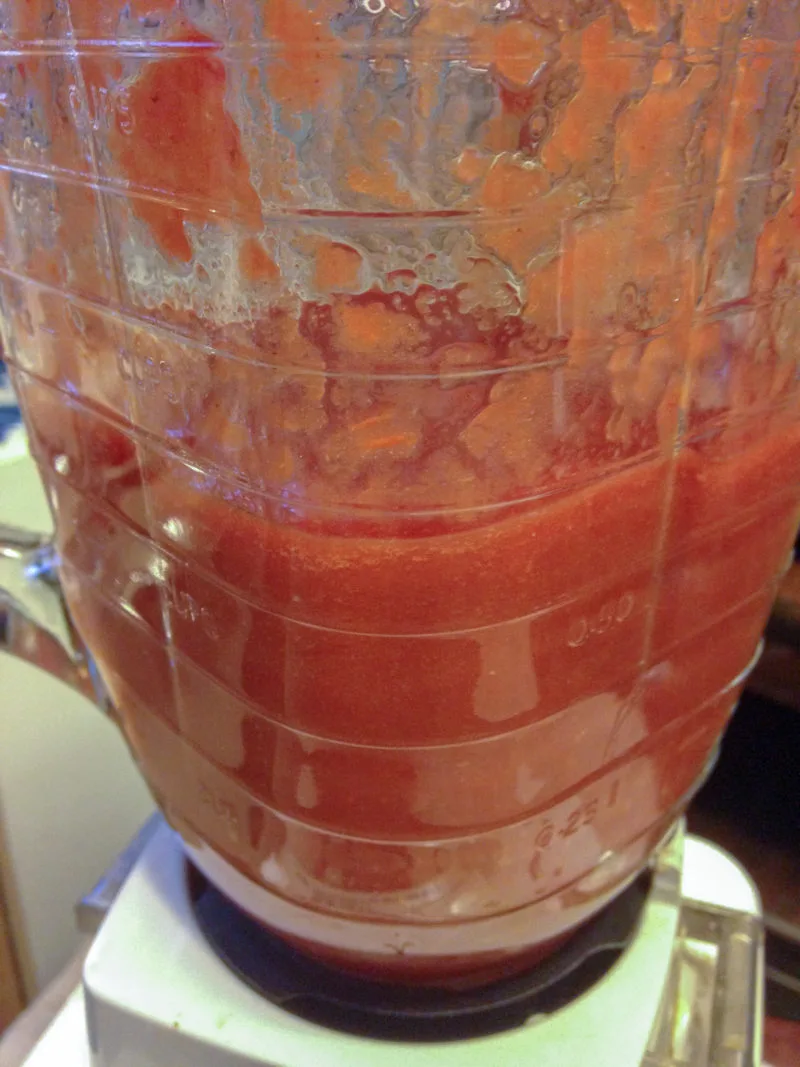 Some of the homemade ketchup in a blender.