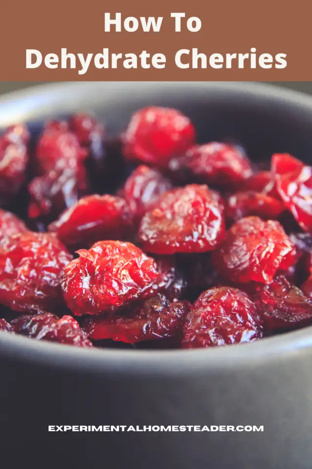 How To Dehydrate Cherries Experimental Homesteader