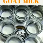 Goat milk in canning jars in a sink of water cooling in preparation for freezing.