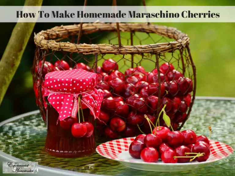 Fresh picked cherries in a basket and on a plate.