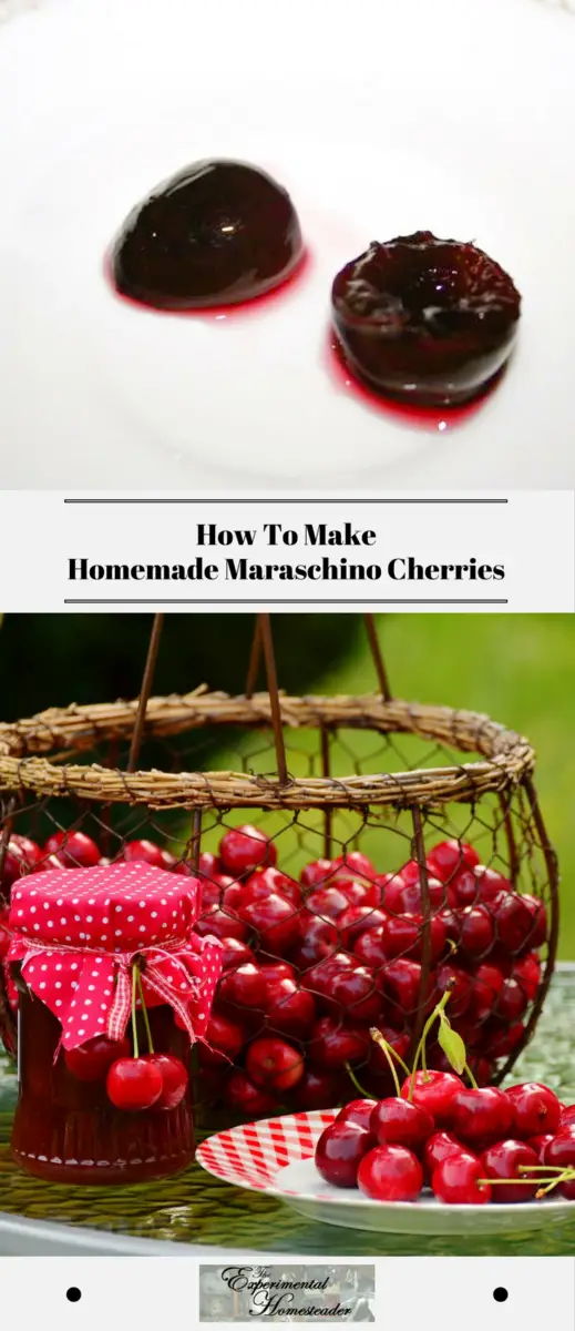 The top photo shows homemade maraschino cherries that are ready to eat. The bottom photo shows fresh picked cherries in a basket and on a plate.