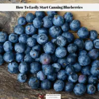 How To Easily Start Canning Blueberries
