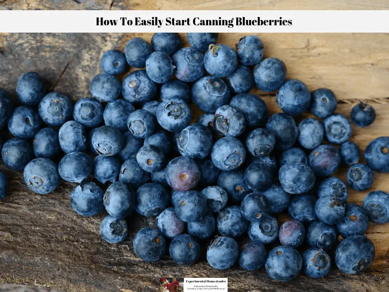 Fresh blueberries laying on a wooden board.
