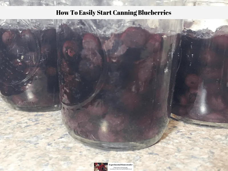 Canned blueberries in Ball jars.
