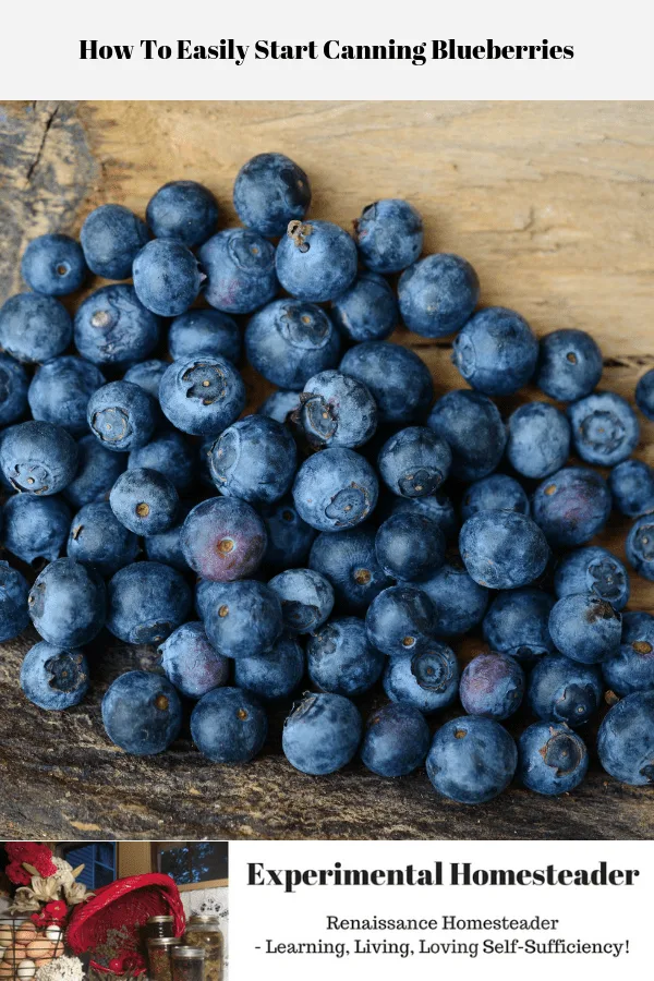 Fresh blueberries laying on a wooden board.