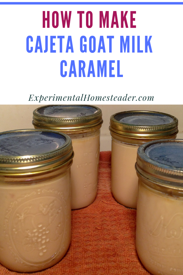 Canned jars of this easy to make cajeta goat milk caramel recipe.