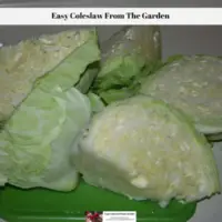 Easy Coleslaw From The Garden