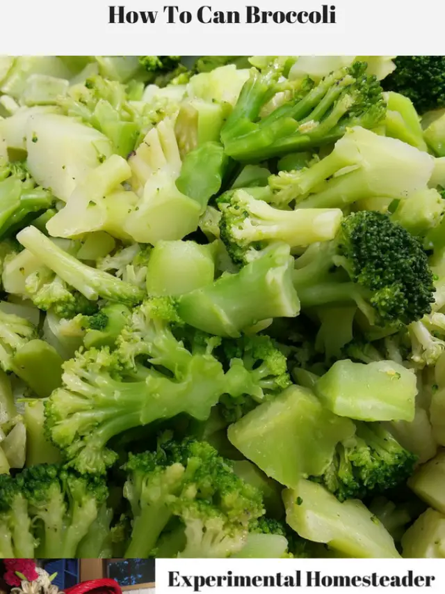 Canning Broccoli Is No Longer Safe Story