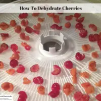How To Dehydrate Cherries
