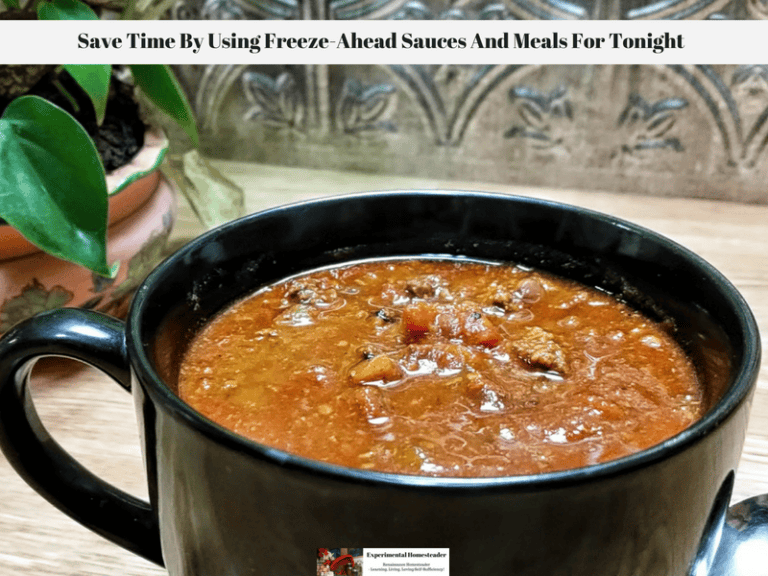 Homesteading freezer meal ideas for quick, homemade soups and sauces. Save time with batch cooking and meal prep.
