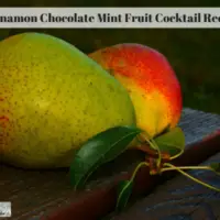 Cinnamon Chocolate Mint Fruit Cocktail Recipe