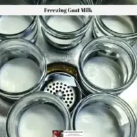 How To Start Freezing Goat Milk