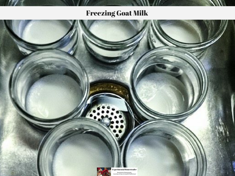 Nutra Vita Freeze Dried Goat Milk Powder Two Units of 200 G Each
