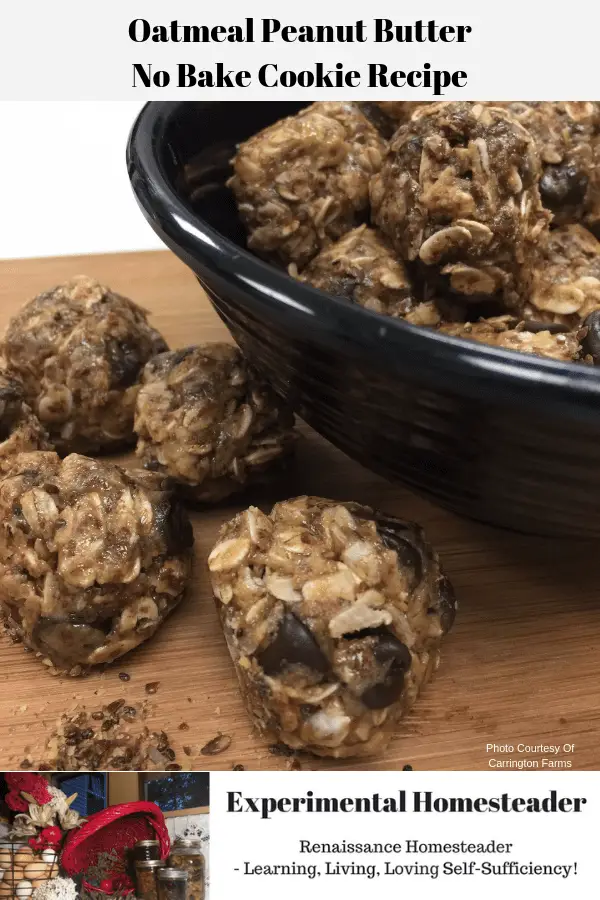 This Oatmeal Peanut Butter No Bake Cookie Recipe is ready to eat with cookies in a bowl and on a countertop.