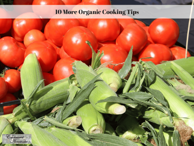 Fresh organic tomatoes and corn at a farm stand for healthy homesteading.