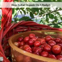 How To Eat Organic On A Budget