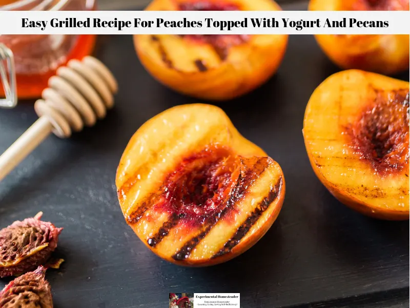 Grilled peaches sitting on a plate, whole peaches in the background. There is honey and peach pits off to one side.