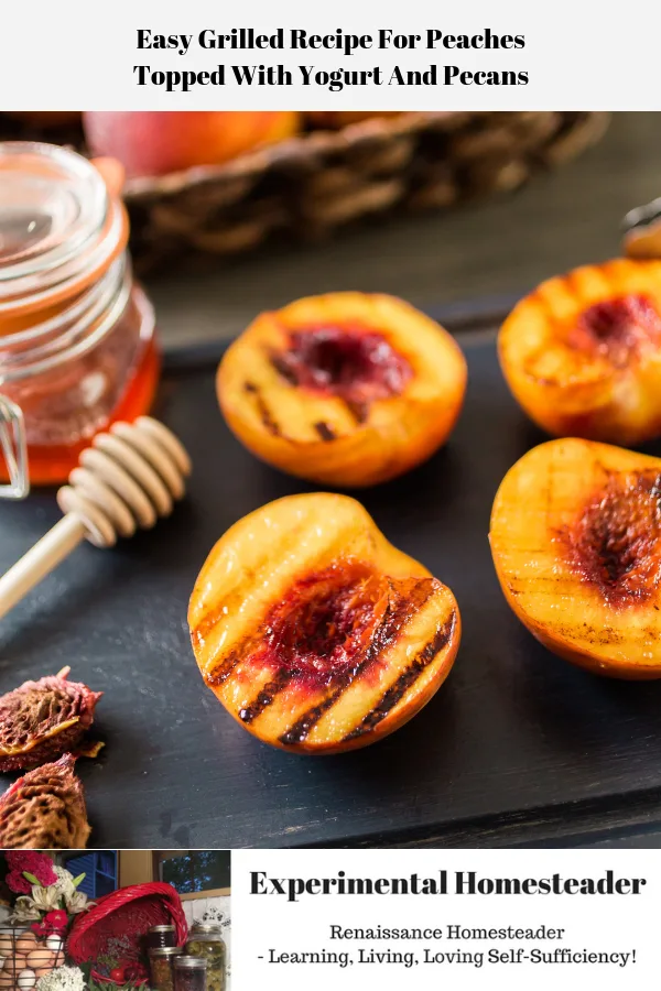 Grilled peaches sitting on a plate, whole peaches in the background. There is honey and peach pits off to one side.