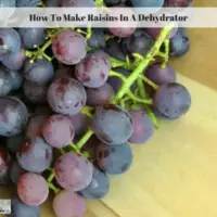 How To Make Raisins In A Dehydrator