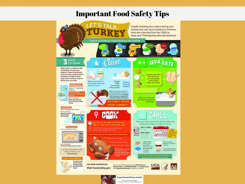 A food safety infographic.