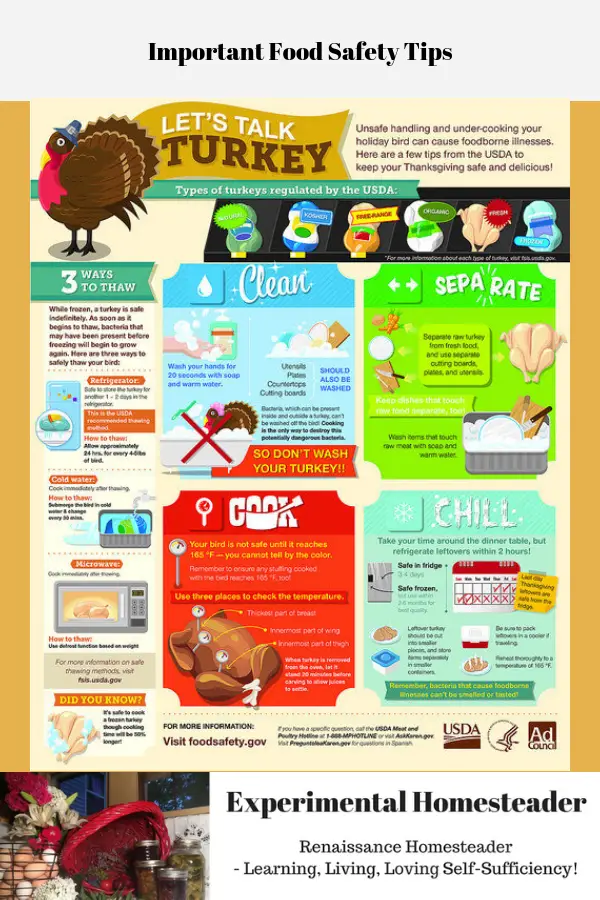 A food safety infographic.