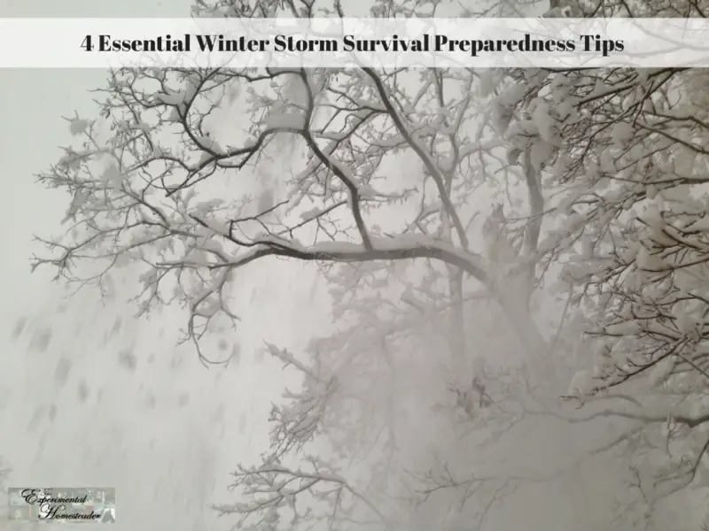 A tree covered in snow with the wind blowing the snow all around it.