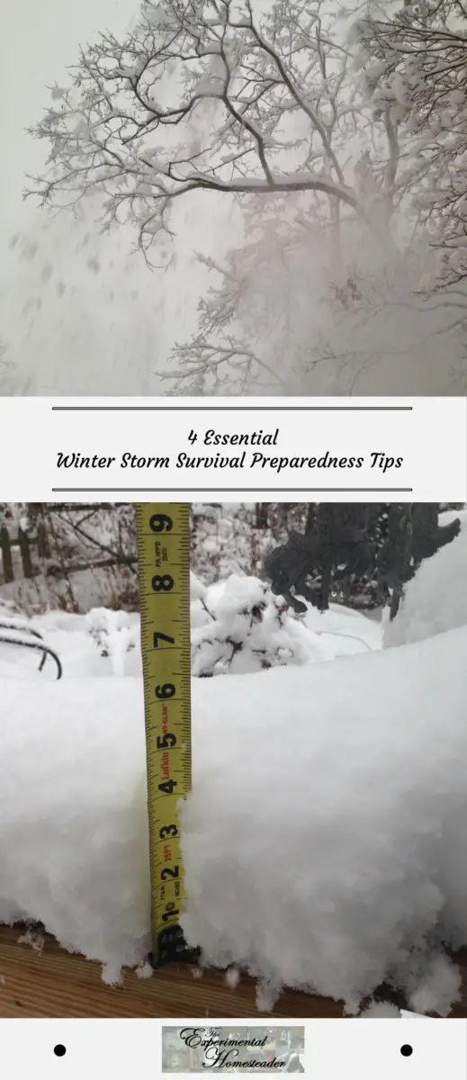 A snow covered tree with wind blowing the snow around it. The bottom photo is a tape measure in the snow.