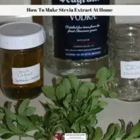 How To Make Stevia Extract At Home