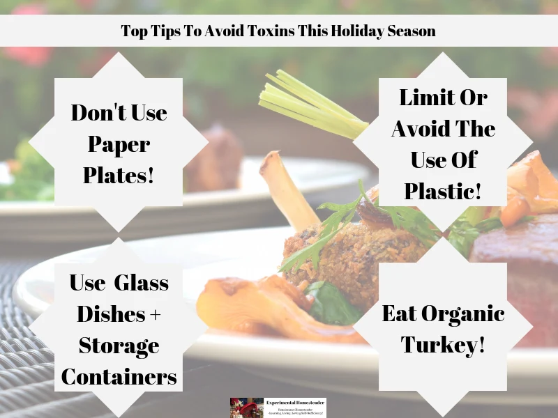 Food in the background with the four main tips to avoid toxins tis holiday season highlighted.